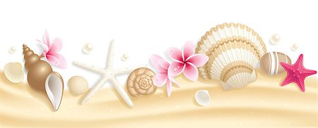 simsearch:400-05916697,k - Summer header with seashells and starfishes on the sand Stock Photo - Budget Royalty-Free & Subscription, Code: 400-04416970