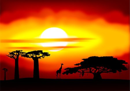Abstract illustration of the sunset in Africa Stock Photo - Budget Royalty-Free & Subscription, Code: 400-04417238