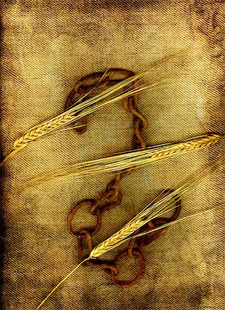 Three sticks of barley on an old rusty chain. Stock Photo - Budget Royalty-Free & Subscription, Code: 400-04417995