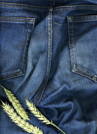 Closeup of a pair of jeans with three sticks of wheat on them. Stock Photo - Budget Royalty-Free & Subscription, Code: 400-04417991