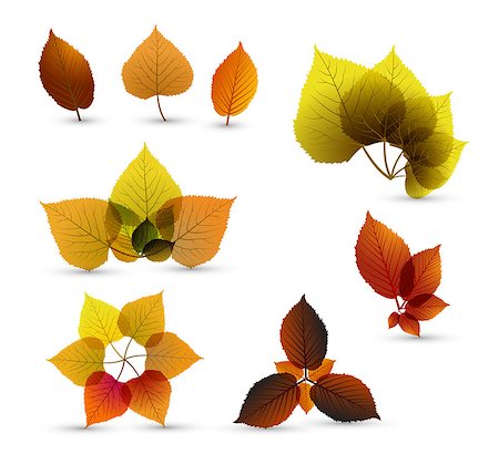 simsearch:400-04221461,k - Autumn abstract leaf elements with nice details Stock Photo - Budget Royalty-Free & Subscription, Code: 400-04418160