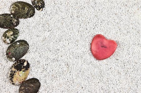 several black and grey shells in white sand with a heart Foto de stock - Super Valor sin royalties y Suscripción, Código: 400-04418692