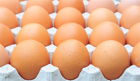 simsearch:400-04313912,k - fresh organic brown eggs Stockbilder - Microstock & Abonnement, Bildnummer: 400-04418878