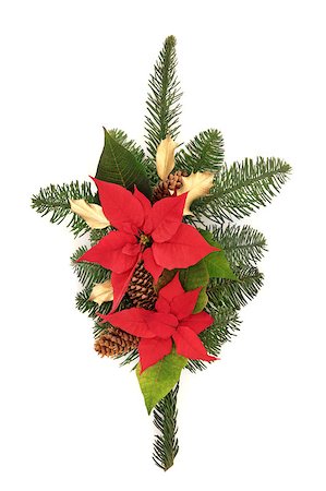 Christmas decoration of poinsettia flower heads, golden holly, pine cones and spruce fir leaf sprig isolated over white background. Foto de stock - Super Valor sin royalties y Suscripción, Código: 400-04419176