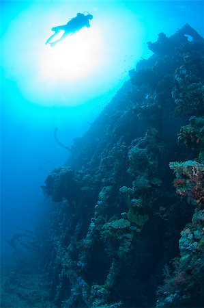 photo underwater ships - Scuba divers exploring a large shipwreck Stock Photo - Budget Royalty-Free & Subscription, Code: 400-04419266