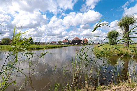 typical dutch polder landscape north of amsterdam Foto de stock - Super Valor sin royalties y Suscripción, Código: 400-04419475