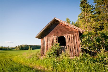 A red barn on a field next to the woods Stock Photo - Budget Royalty-Free & Subscription, Code: 400-04419510