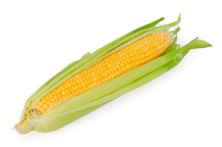 simsearch:824-07310382,k - Corn on the Cob isolated on white Stockbilder - Microstock & Abonnement, Bildnummer: 400-04419855