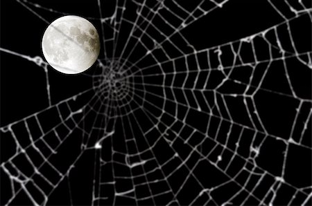 Full moon and blurred spider web on black background Foto de stock - Super Valor sin royalties y Suscripción, Código: 400-04419884