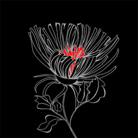 Stylized flower on black background Stock Photo - Budget Royalty-Free & Subscription, Code: 400-04410349