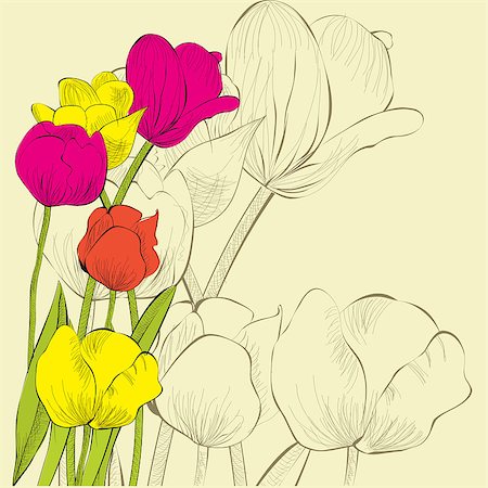 Decorative background with Tulips flowers Stock Photo - Budget Royalty-Free & Subscription, Code: 400-04410363