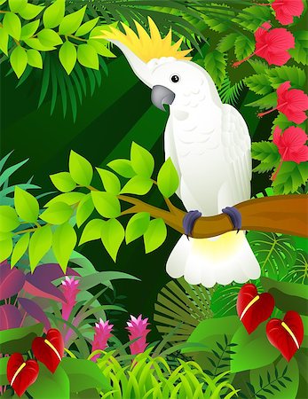 plumage vector - Tropical bird in the tropical forest Stock Photo - Budget Royalty-Free & Subscription, Code: 400-04411965