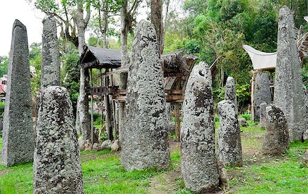 Traditional family burial site in Tana Toraja, sulawasi, indonesia Stock Photo - Budget Royalty-Free & Subscription, Code: 400-04413021
