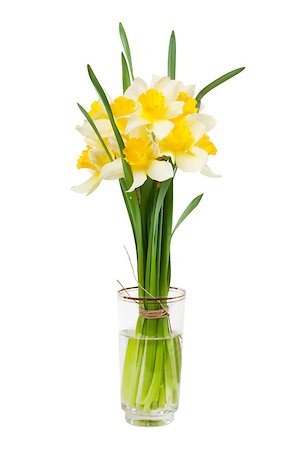 easter lily background - A bouquet of narcissuses in a glass with water isolated over white Stock Photo - Budget Royalty-Free & Subscription, Code: 400-04413048
