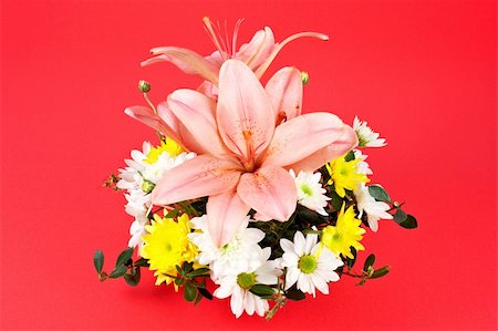 simsearch:400-04436052,k - One bouquet of flowers on a red background Stock Photo - Budget Royalty-Free & Subscription, Code: 400-04425281
