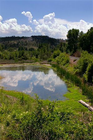 simsearch:400-04750401,k - Landscape View of a Pond, Mountains and Green in Helena Montana Foto de stock - Royalty-Free Super Valor e Assinatura, Número: 400-04425562