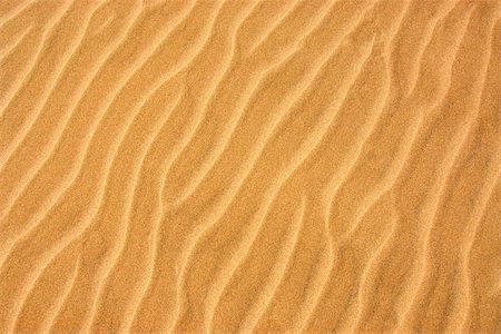 simsearch:400-07682727,k - Background of a beautiful pattern on a yellow sand Stock Photo - Budget Royalty-Free & Subscription, Code: 400-04426351