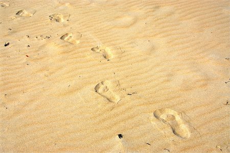 simsearch:400-09237669,k - Background of yellow sand surface with footprints Stock Photo - Budget Royalty-Free & Subscription, Code: 400-04426542