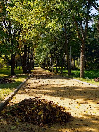 simsearch:400-07208525,k - autumn park alley with yellow leaf pile Stock Photo - Budget Royalty-Free & Subscription, Code: 400-04427298