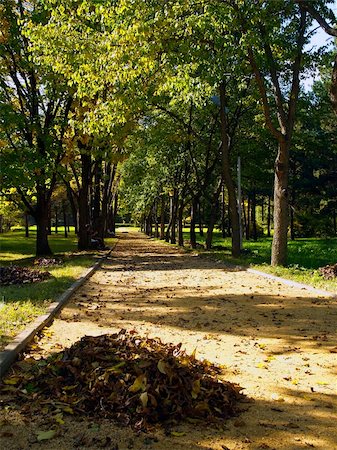 simsearch:622-02759240,k - autumn park alley with yellow leaf pile Stockbilder - Microstock & Abonnement, Bildnummer: 400-04427298