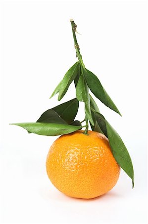 simsearch:400-05046087,k - Tangerine, stem with leaves, on a white background Stockbilder - Microstock & Abonnement, Bildnummer: 400-04427418