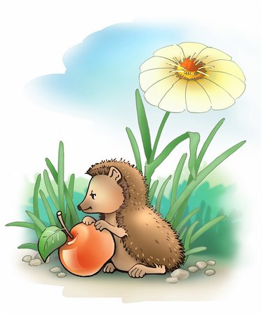 simsearch:400-07278599,k - Little hedgehog with apple (summer) Stockbilder - Microstock & Abonnement, Bildnummer: 400-04428048