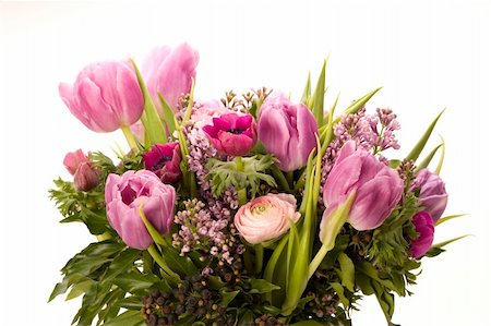 simsearch:400-05701960,k - Tulip, Anemone, Lilac & Berries against a plain background Foto de stock - Royalty-Free Super Valor e Assinatura, Número: 400-04429110