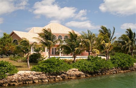 pic palm tree beach big island - Expensive Coastal Real Estate Photographie de stock - Aubaine LD & Abonnement, Code: 400-04429156