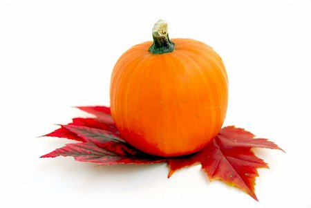 simsearch:400-05270213,k - Mini pumpkin with autumn leaves on white background Foto de stock - Royalty-Free Super Valor e Assinatura, Número: 400-04429208