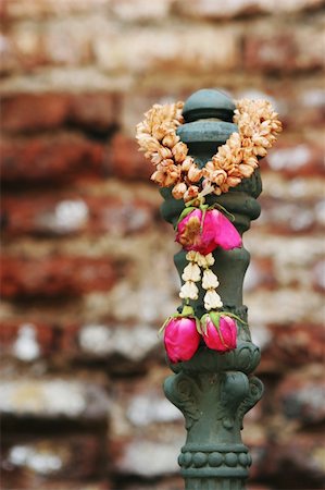 simsearch:400-06128693,k - Beautiful garland of pink flowers hanging at a temple in Lop Buri, Thailand Foto de stock - Super Valor sin royalties y Suscripción, Código: 400-04429814