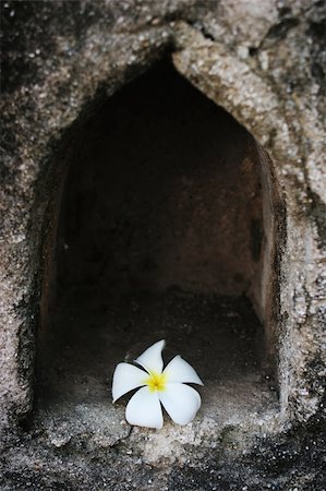 simsearch:400-05010927,k - White fragapani flower at a temple in Thailand - travel and tourism Foto de stock - Royalty-Free Super Valor e Assinatura, Número: 400-04429811