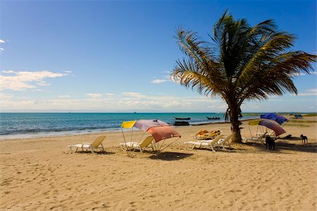 Beach on island Margarita, Venezuela Photographie de stock - Aubaine LD & Abonnement, Code: 400-04429842
