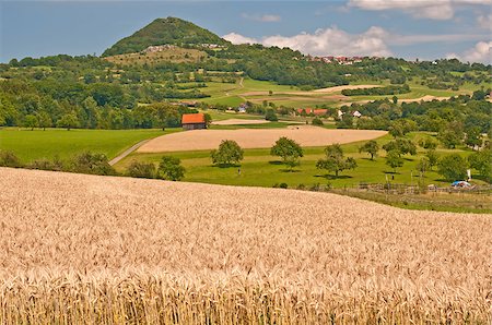 rye Photographie de stock - Aubaine LD & Abonnement, Code: 400-04420191