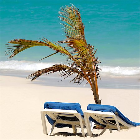 simsearch:400-04893796,k - A sun lounger and palm at exotic beach with white sand Foto de stock - Super Valor sin royalties y Suscripción, Código: 400-04420317