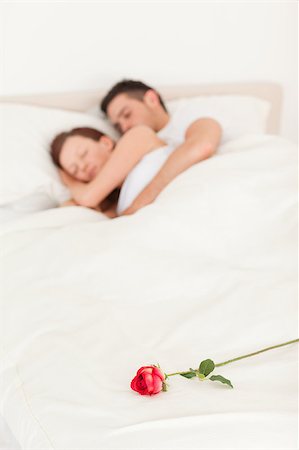 simsearch:400-04182849,k - Rose on a bed of sleeping happy couple in the bedroom Stock Photo - Budget Royalty-Free & Subscription, Code: 400-04420805