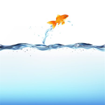 Goldfish Leaping Out Of Water, Isolated On White Background, Vector Illustration Stock Photo - Budget Royalty-Free & Subscription, Code: 400-04421322