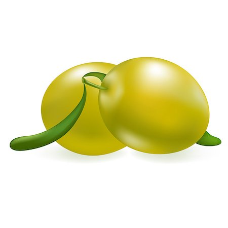 simsearch:400-04356349,k - Green Olive, Isolated On White Background, Vector Illustration Foto de stock - Royalty-Free Super Valor e Assinatura, Número: 400-04421331
