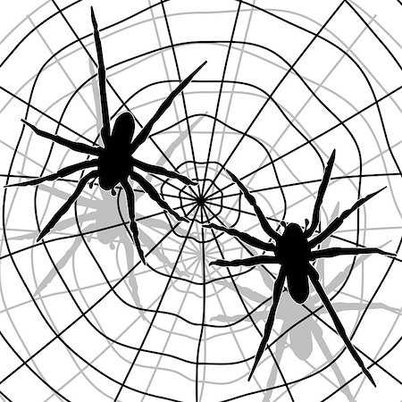 simsearch:400-08200203,k - A spider and spider web on a white background. Foto de stock - Royalty-Free Super Valor e Assinatura, Número: 400-04421408