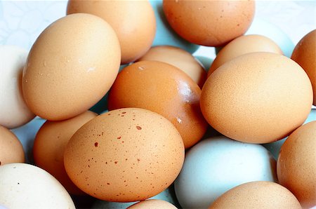 simsearch:400-04333980,k - Dozens of fresh eggs in a pile Foto de stock - Super Valor sin royalties y Suscripción, Código: 400-04422032