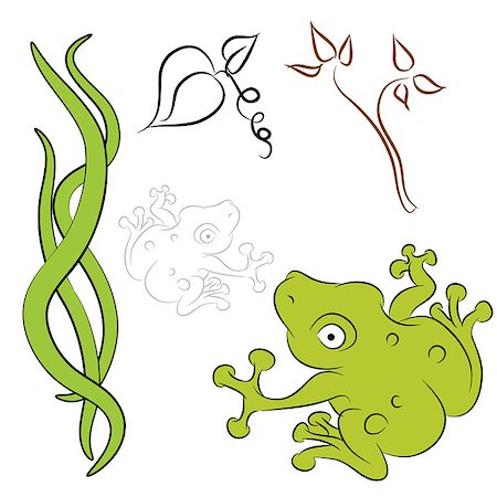 simsearch:400-08014032,k - An image of a frog vine leaf natural elements. Foto de stock - Super Valor sin royalties y Suscripción, Código: 400-04422234