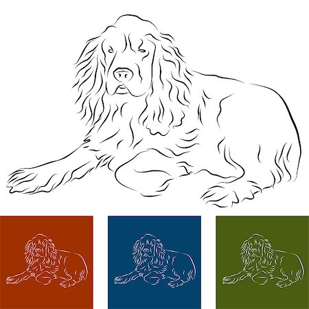 simsearch:400-08014032,k - An image of a cocker spaniel line drawing. Stock Photo - Budget Royalty-Free & Subscription, Code: 400-04422242