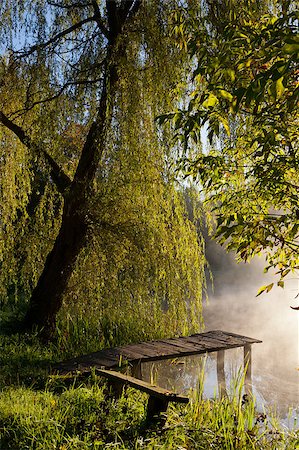Old fishing platform under willow tree Stock Photo - Budget Royalty-Free & Subscription, Code: 400-04423322