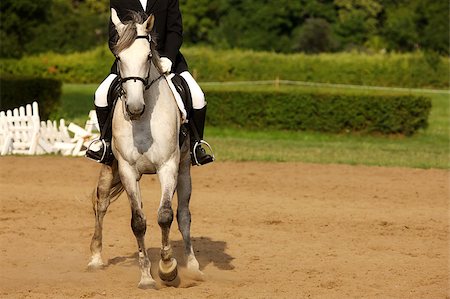 estribo - A picture of an equestrian on a white horse in motion over natural background Foto de stock - Super Valor sin royalties y Suscripción, Código: 400-04423578