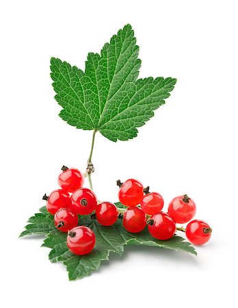 simsearch:400-04423672,k - Branch of red currants with leaves isolated on white background Stockbilder - Microstock & Abonnement, Bildnummer: 400-04423676