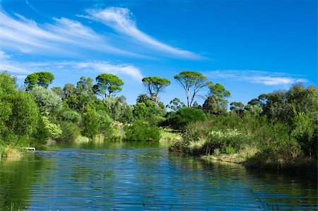 Australian green park landscape with beautiful trees and pond Photographie de stock - Aubaine LD & Abonnement, Code: 400-04423903