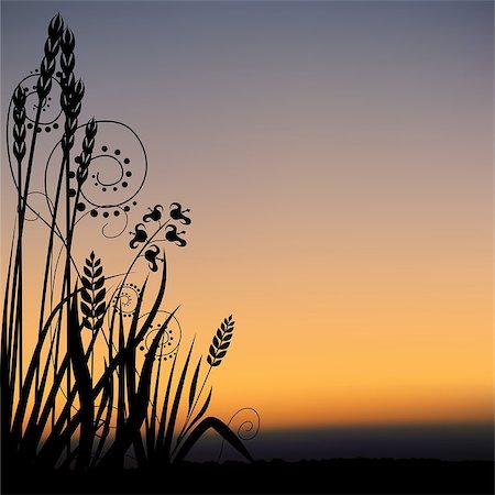 Floral scenery 05 - highly detailed plant silhouette & coloured sky scenery Stock Photo - Budget Royalty-Free & Subscription, Code: 400-04434127