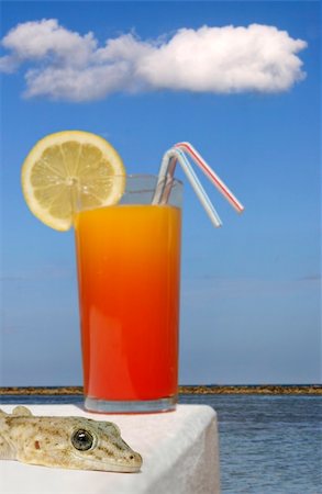 simsearch:862-03289334,k - Tropical drink and sunny beach background with focus on gecko in the foreground Photographie de stock - Aubaine LD & Abonnement, Code: 400-04434187