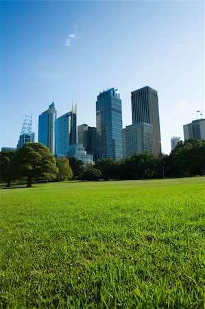 sydney gardens - Skyscrapers and blue sky fill the background behind beautiful green grass and trees. This photo was taken at the Royal Botanical Gardens park in Sydney, Australia. Stock Photo - Budget Royalty-Free & Subscription, Code: 400-04434752