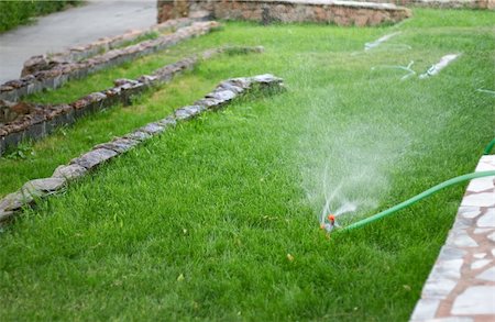 sprinkler, garden hose, green lawn, short dept of field Stock Photo - Budget Royalty-Free & Subscription, Code: 400-04435561