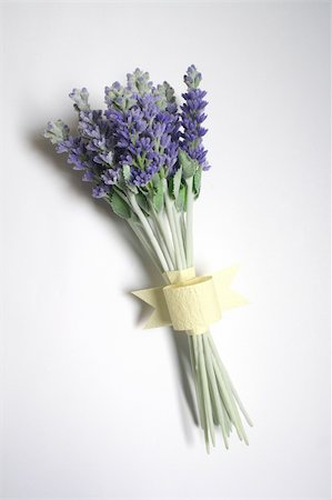 Bunch of lavender on white background Stock Photo - Budget Royalty-Free & Subscription, Code: 400-04435743